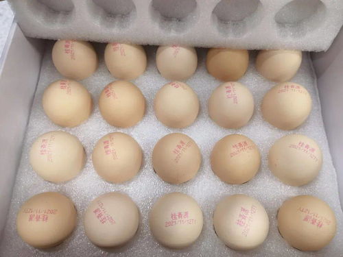 可生食 鸡蛋,你买对了吗 12款鸡蛋测试结果来了