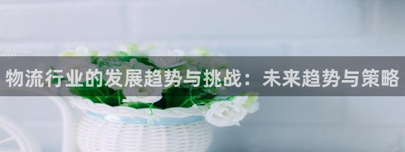 豪门国际南宫娱乐官网：物流行业的发展