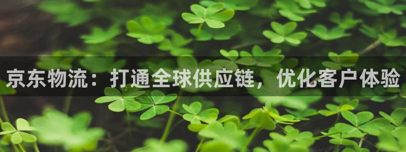 豪门国际平台注册：京东物流：打通全球