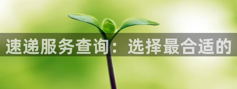豪门国际自行车图片大全：速递服务查询