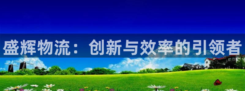 豪门国际人头费：盛辉物流：创新与效率