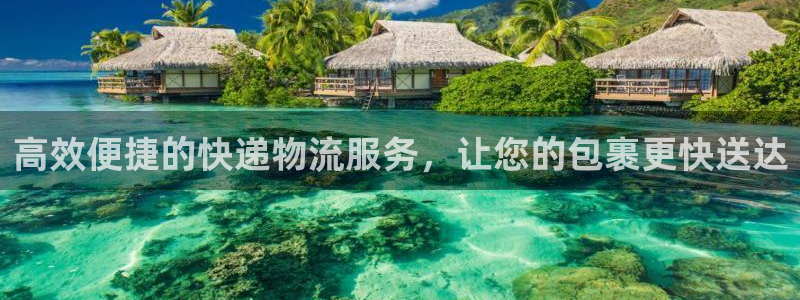 豪门国际链接：高效便捷的快递物流服务