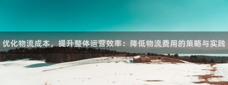 豪门国际防失联网址：优化物流成本，提