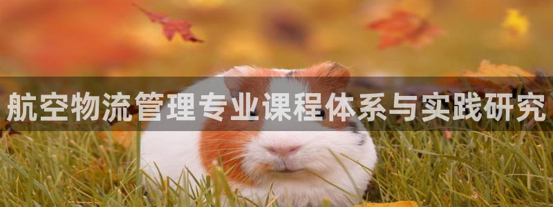 加拿大豪门国际数字规则：航空物流管理