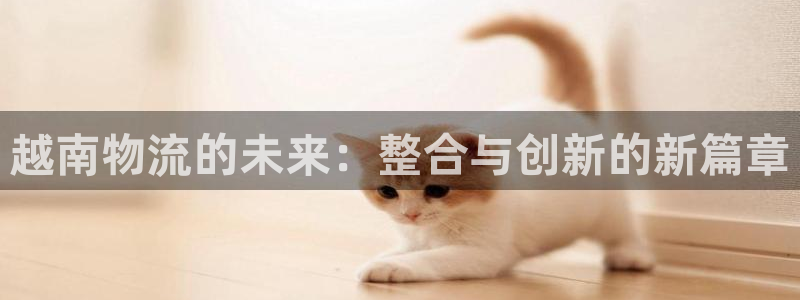 自行车豪门国际是什么意思：越南物流的