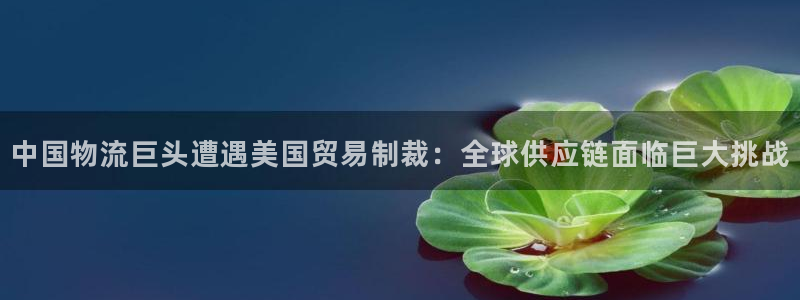 豪门国际推广链接是多少个：中国物流巨
