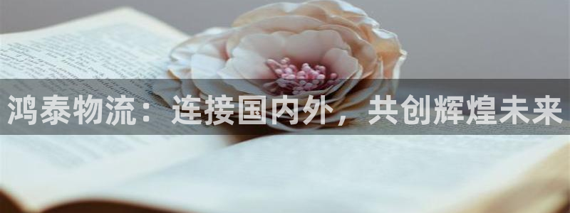 豪门国际官网下载多少：鸿泰物流：连接