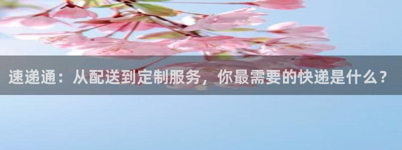 豪门国际官方版正版：速递通：从配送到