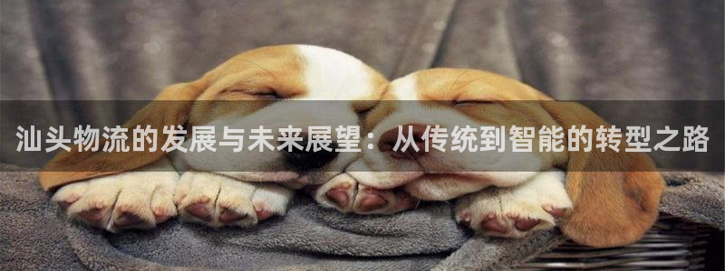 豪门国际比特28预测在线预测
