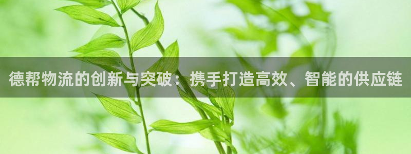 豪门国际黑钱：德帮物流的创新与突破：