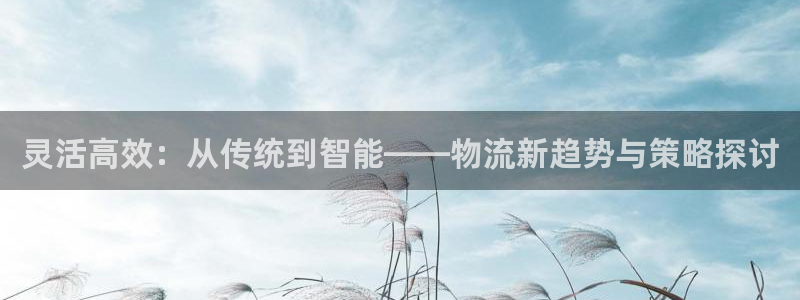 豪门国际充值不到账怎么回事：灵活高效
