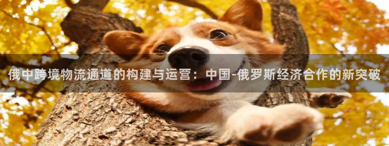 豪门国际
