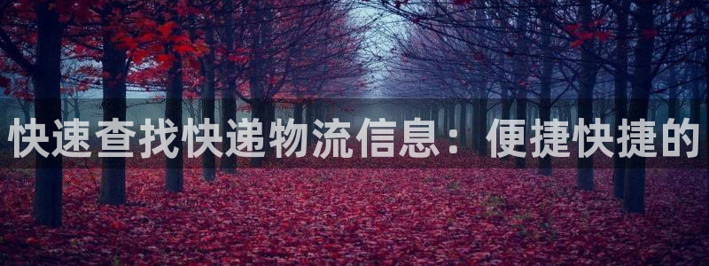 豪门国际提现未达5期是什么意思:快速