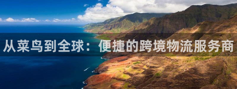 豪门国际相信品牌的力量:从菜鸟到全球