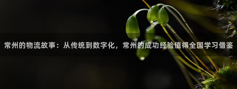 豪门国际注册限制怎么解除:常州的物流