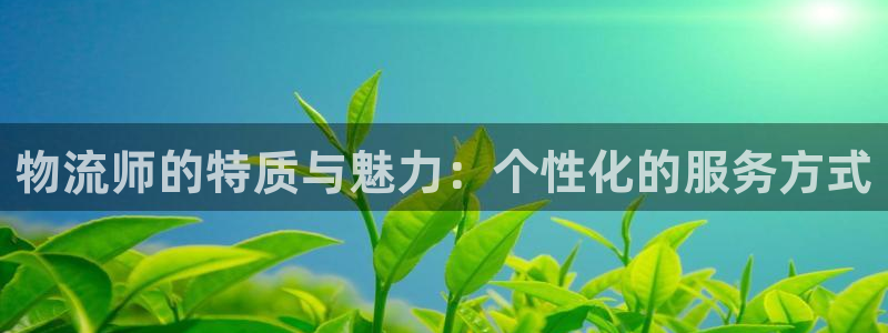 豪门国际推广链接是多少个:物流师的特