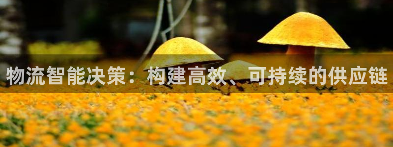 豪门国际官网入口南宫:物流智能决策: