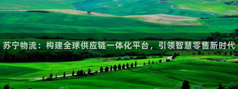 豪门国际比特28预测在线预测:苏宁物