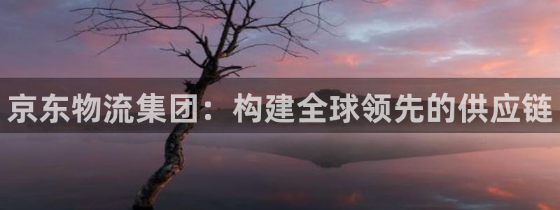 豪门国际注册官网：京东物流集团：构建全球领先的供应链